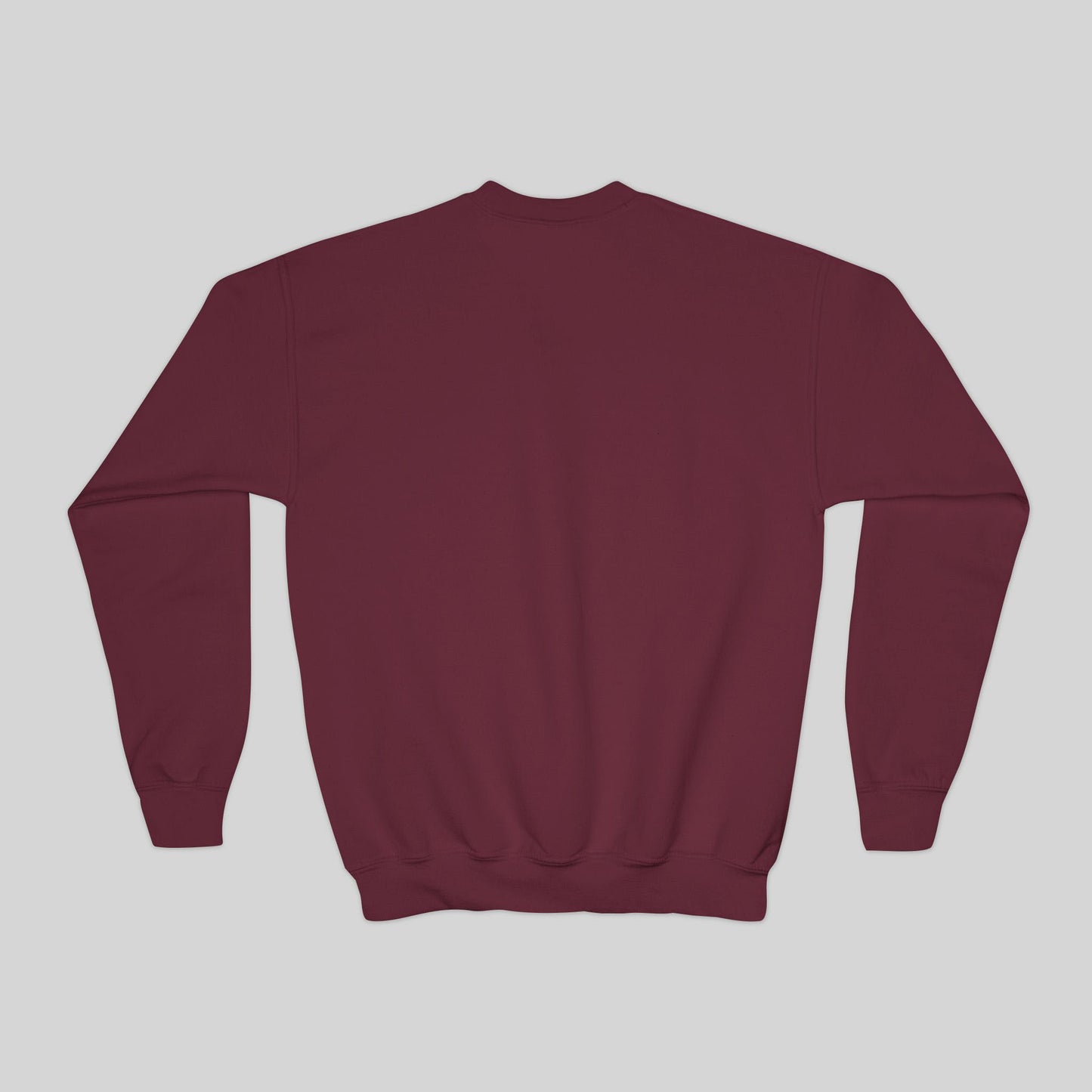 Dragon's Birthday Blowout - Youth Sweatshirt